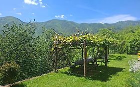 Albergo Ristorante La Selva